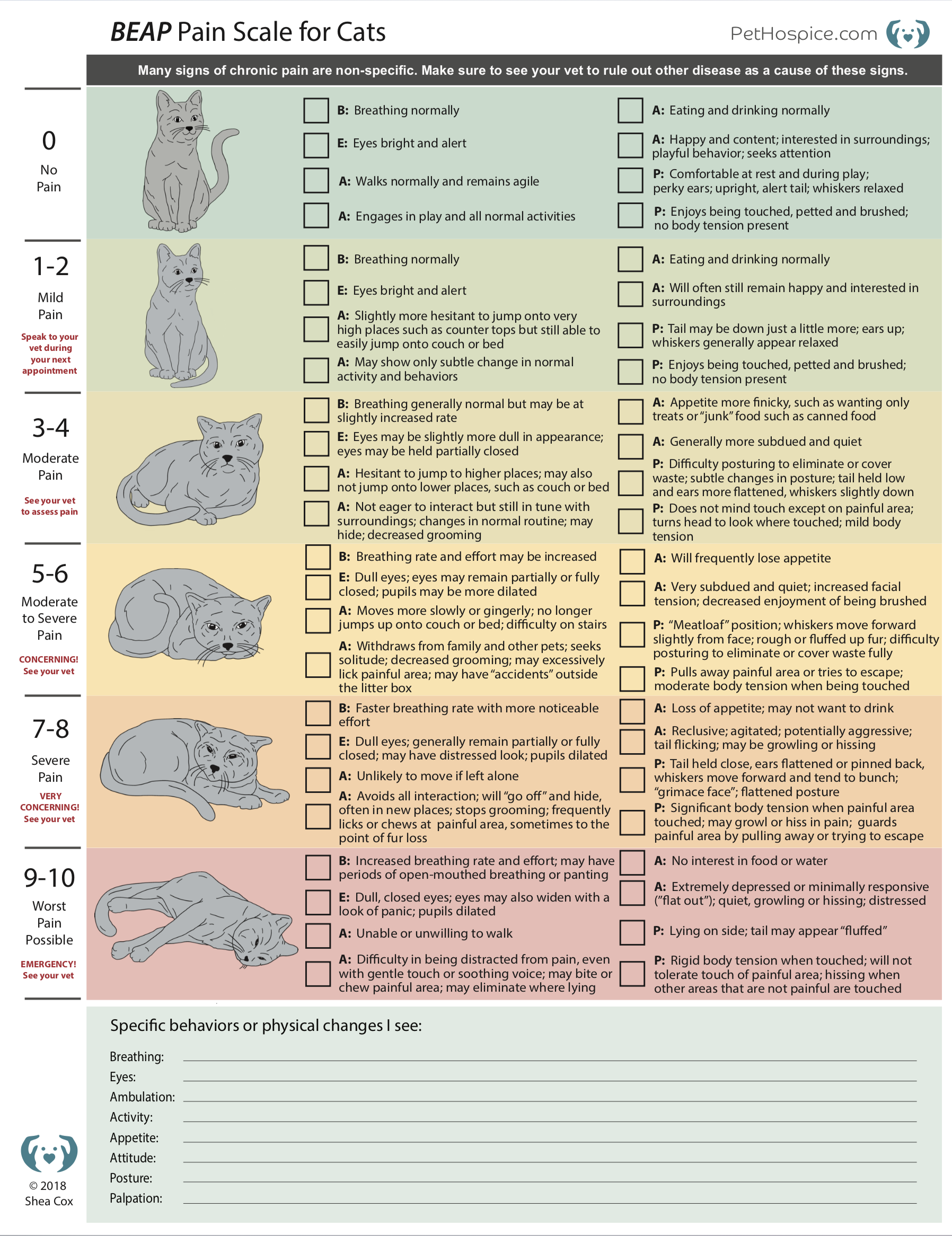 Pain Scale For Dogs