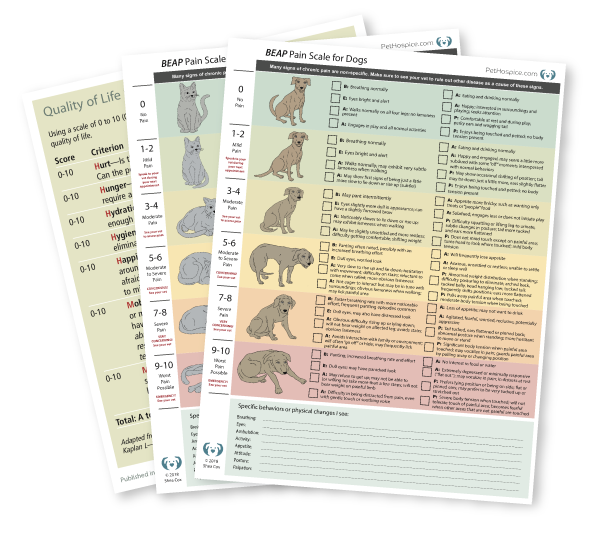 pet end of life resources